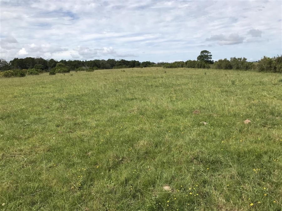Commercial Property for Sale in Bathurst Rural Eastern Cape